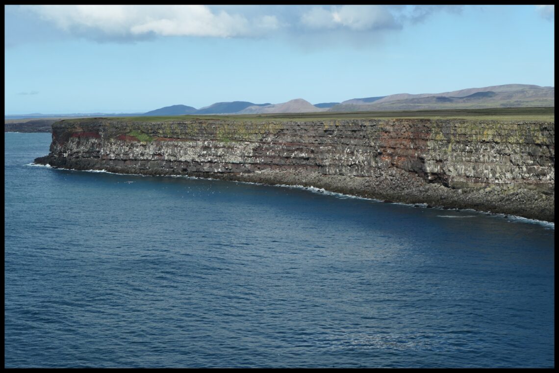 the cliffs of Krýsuvíkurbjarg